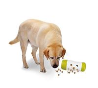 ALL FOR PAWS Interactives Treat Frenzy Roll Dog Toy