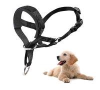 All in one Headcollar Lead, Head Collar Dog with Padded Fabric, Head Harness for Dogs, Anti pulling Head Halter Collar, Adjustable and Easily Control (Black)