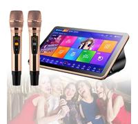 All in One Karaoke Machine, KTV Singing Chinese Karaoke Player, Touch Screen Phone App Control Cloud Download Songs with Mic, for Family Bar Party,Black-500G