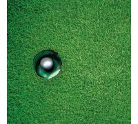 All jigsaw Puzzles A Hole In One- Impuzzible No.43 - 1000 Piece Jigsaw Puzzle All jigsaw Puzzles Multicolor