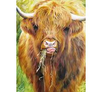 All jigsaw Puzzles Highland Cow, 1000 Piece Jigsaw Puzzle All jigsaw Puzzles Multicolor