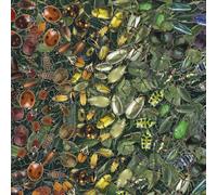 All jigsaw Puzzles Natural History Museum - Beetles 1000 Piece Jigsaw Puzzle All jigsaw Puzzles Multicolor