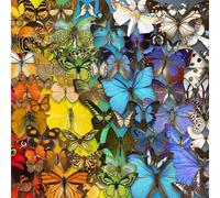All jigsaw Puzzles Natural History Museum - Butterflies & Moths 1000 Piece Jigsaw Puzzle All jigsaw Puzzles Multicolor