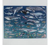 All jigsaw Puzzles The Ocean 1000 Piece Jigsaw Puzzle All jigsaw Puzzles Multicolor
