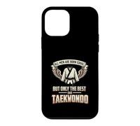 All Men Are Born Equal The Best Do Taekwondo Fighter Case for iPhone 12 mini
