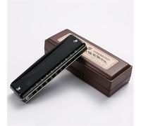 All-metal Harmonica 10-hole Blues Blues Ten-hole Harmonica With Storage Box + Leather Case + Piano Cloth(Paddy C)