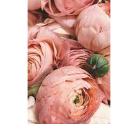 All My Fucking Secrets