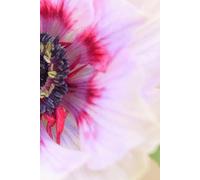 All My Fucking Secrets