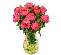 All Occasions Dark Pink Peony 10 Stems, Fresh Bouquet, Next Day Delivery, Ideal for Birthdays, Anniversaries and Thank You Gifts
