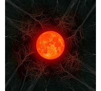 All of them Witches - Hunters Moon [VINYL]