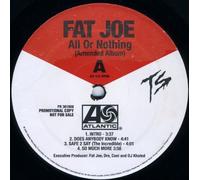 All Or Nothing - Fat Joe 2LP