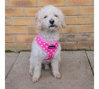 All Pet Solutions All Pet Solutions Dog Puppy Harness Soft Adjustable Reflective Comfortable Vest (Large, Pink Polka Dot), L