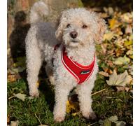 All Pet Solutions All Pet Solutions Dog Puppy Harness Soft Adjustable Reflective Comfortable Vest (Small, Red), S