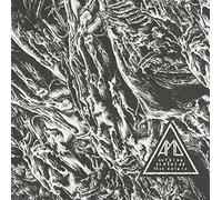 All Pigs Must die - NOTHING VIOLATES THIS NATURE (ナッシング・ヴァイオレイツ・ディス・ネイチャー)