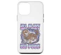 "ALL PLATY NO PUSS" Gen Z Meme Brainrot Vibes Case for iPhone 12 mini