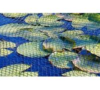 All Pond Solutions Cover Net, 3 x 4 m