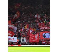 All Red Light Membership Voucher
