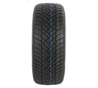 All-season PKW tyre OVATION 6953913157054 for MG MGF (RD) 1.8 2001-2002