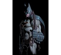 All Star Batman HC Vol 1 My Own Worst Enemy
