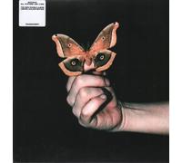 All Systems Are Lying [VINYL]