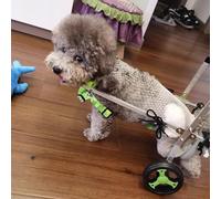 All-Terrain Dog Wheelchair - Adjustable Rear Support & Knee Brace for Torn ACL - Mobility Aid for Small Dogs - XS Size Pet Hip Trolley