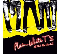 All That We Needed by Plain White T's (Vinyl Record 2020)