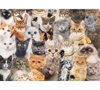 All The Cats 500 Piece Jigsaw Puzzle