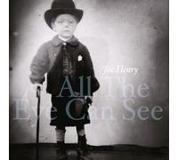 All The Eye Can See - Joe Henry Compact Disc
