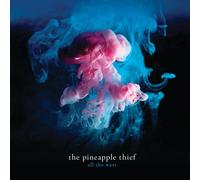 The Pineapple Thief - All The Wars
