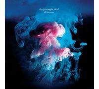 The Pineapple Thief - All The Wars - 12" Vinyl (2023)