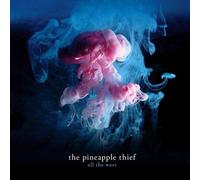 All The Wars - Pineapple Thief Vinyl