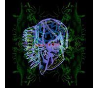 All Them Witches - Nothing As The Ideal [VINYL]