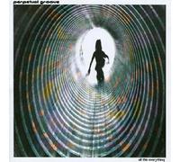 All This Everything by Perpetual Groove