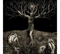 All Traps On Earth - A Drop Of Light