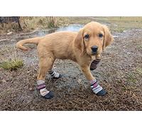 All Weather Neoprene Paw Protector Dog Boots with Reflective Straps in 5 Sizes! (Multicolor Small)