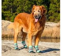 All Weather Neoprene Paw Protector Dog Boots with Reflective Straps in 5 Sizes! (Turquoise Large)