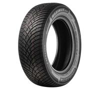 Double Star DLA01 ( 225/45 R18 95W XL )