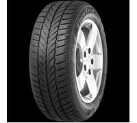 Viking FourTech Plus ( 225/55 R17 101W XL )