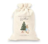 allaboutthebump Personalised Blue Rabbit Santa Sack | First Christmas Sibling Gift Wrap Father Christmas Eve (Canvas Sack: 49x75cm)