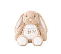 allaboutthebump Personalised My First Christmas 2026 Soft Toy with Name - Bunny, Reindeer or Christmas Elf Plush - Baby’s First Christmas Keepsake Gift for Boy or Girl (Rabbit: Brown)