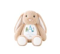 allaboutthebump Personalised My First Christmas Soft Toy with Name & Initial - Blue Dinosaur Design - Elf, Reindeer or Bunny Plush - Baby Boy Keepsake Gift (Rabbit: Brown)