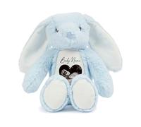 allaboutthebump Personalised New Baby Ultrasound Scan Birth Announcement Plush Bunny Soft Stuffed Animal [Grey White Pink Blue Brown] New Brother Sister Sibling Boy Girl Unisex (Bunny: Blue)
