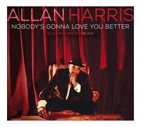 Allan Harris Nobody's Gonna Love You Better (Vinyl) 12" Album (US IMPORT)