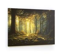 ALLboards CANVASboards Magnetic Painting 90×60 cm - Fairy tale forest, Poster for All Types of Magnets Wall Mounted Durable 3D Printed