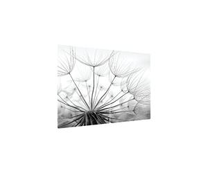 ALLboards Glass Chopping Board Dandelion SEEDED 2 Set 52x30cm Cutting Board Splashback Worktop Saver for Kitchen Hob Protection Hot Cover Heat Resistant Multi-Glass Plate Dishes Pad Work Surface
