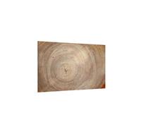 Allboards Magnetic Glass Board Wood Grain Tree Stump Trunk Wood Slice 60X40Cm Print Wall Art Decorative Wall Picture Image Printed