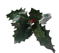 AllCachedUp Holly and Berry Sneaky Geocache Container Logged Ready to Hide Waterproof