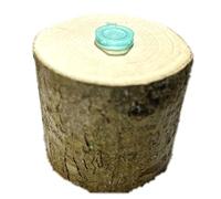 AllCachedUp Real Silver Birch Wood Log Geocache Container Sneaky Hide - 5cm x 5cm