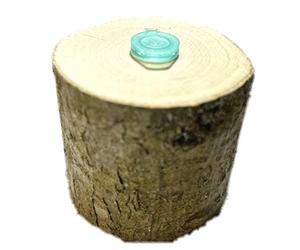 AllCachedUp Real Silver Birch Wood Log Geocache Container Sneaky Hide - 5cm x 5cm