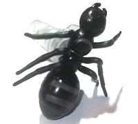 AllCachedUp Sneaky Big Ant Geocache Nano Tube Container Logged & Ready to Hide Waterproof